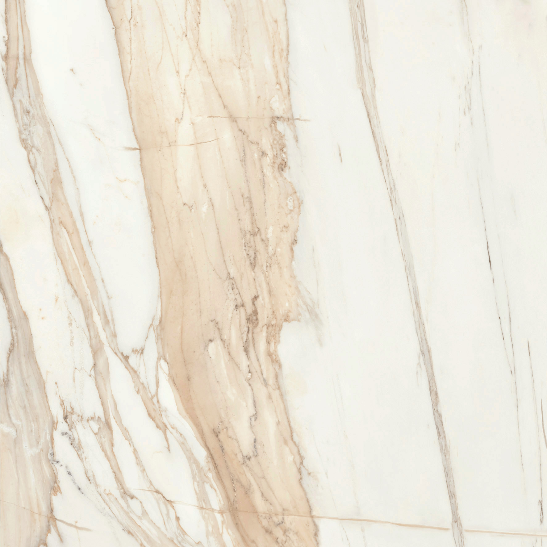 Bernini HG