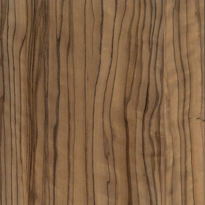 Olivo HG